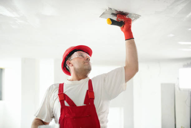 Eco-Friendly and Low-VOC Painting in North Braddock, PA